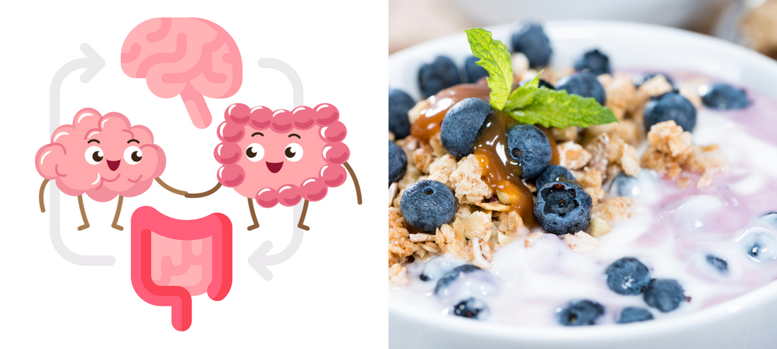 Rebuild the microbiome with lost species – With yogurt from L. brevis, L. rhamnosus, B. subtilis, B. clausii yogurt