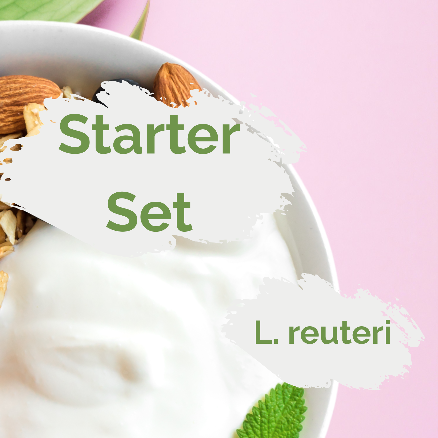 Starter Set L. Reuteri Yogurt