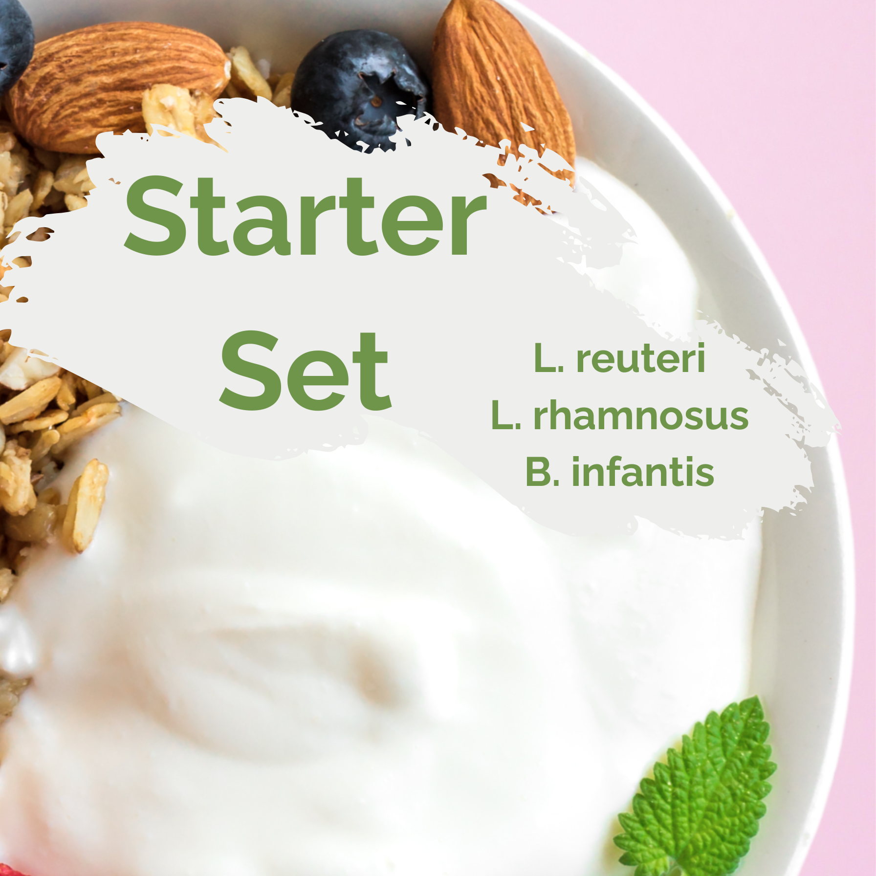 Starter Set "Happy Gut" | L. reuteri, L. rhamnosus, B. infantis Yogurt