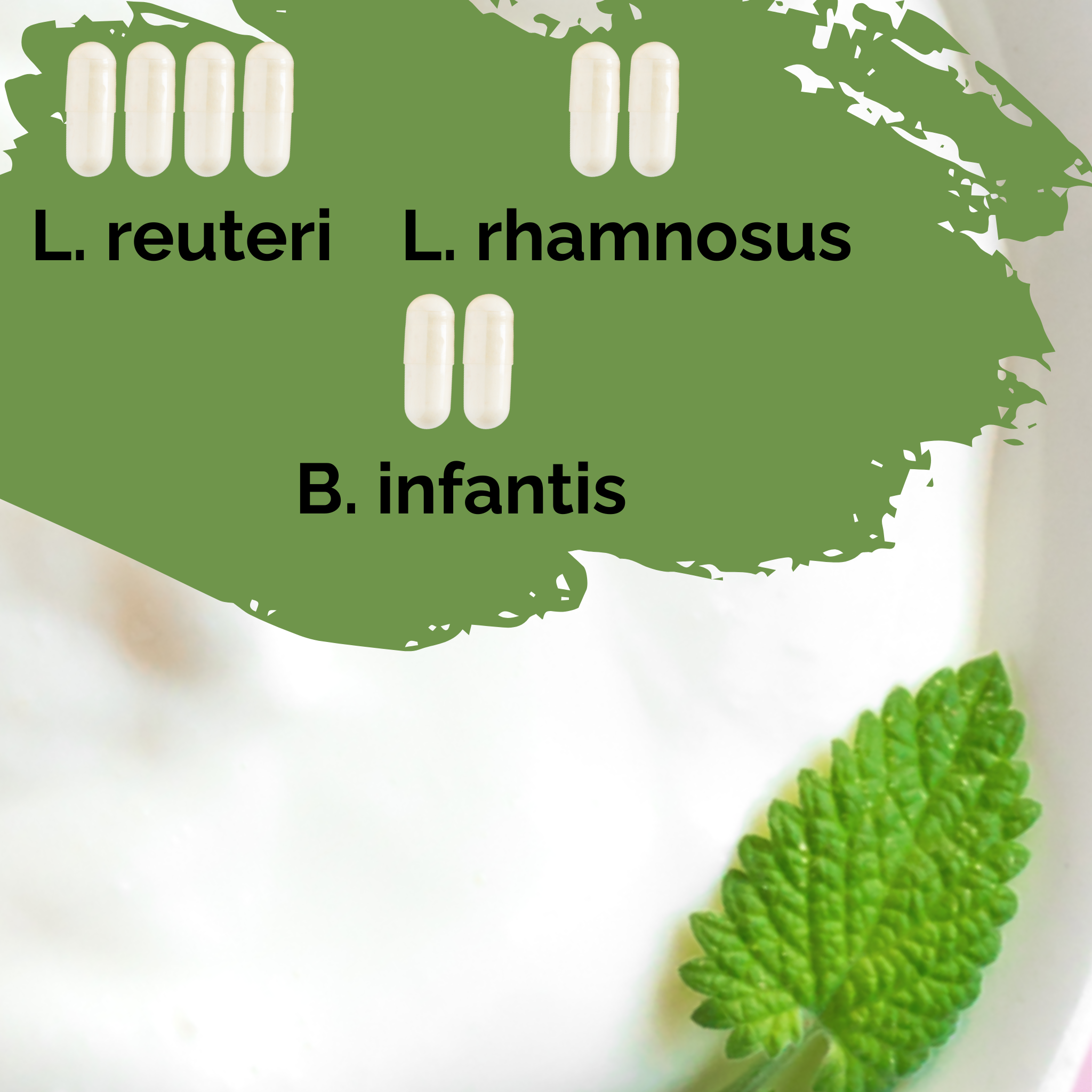 L. reuteri + L. rhamnosus + B. infantis | Yogurt Starter Set | HappyGut | Starter Cultures | Pack of 3