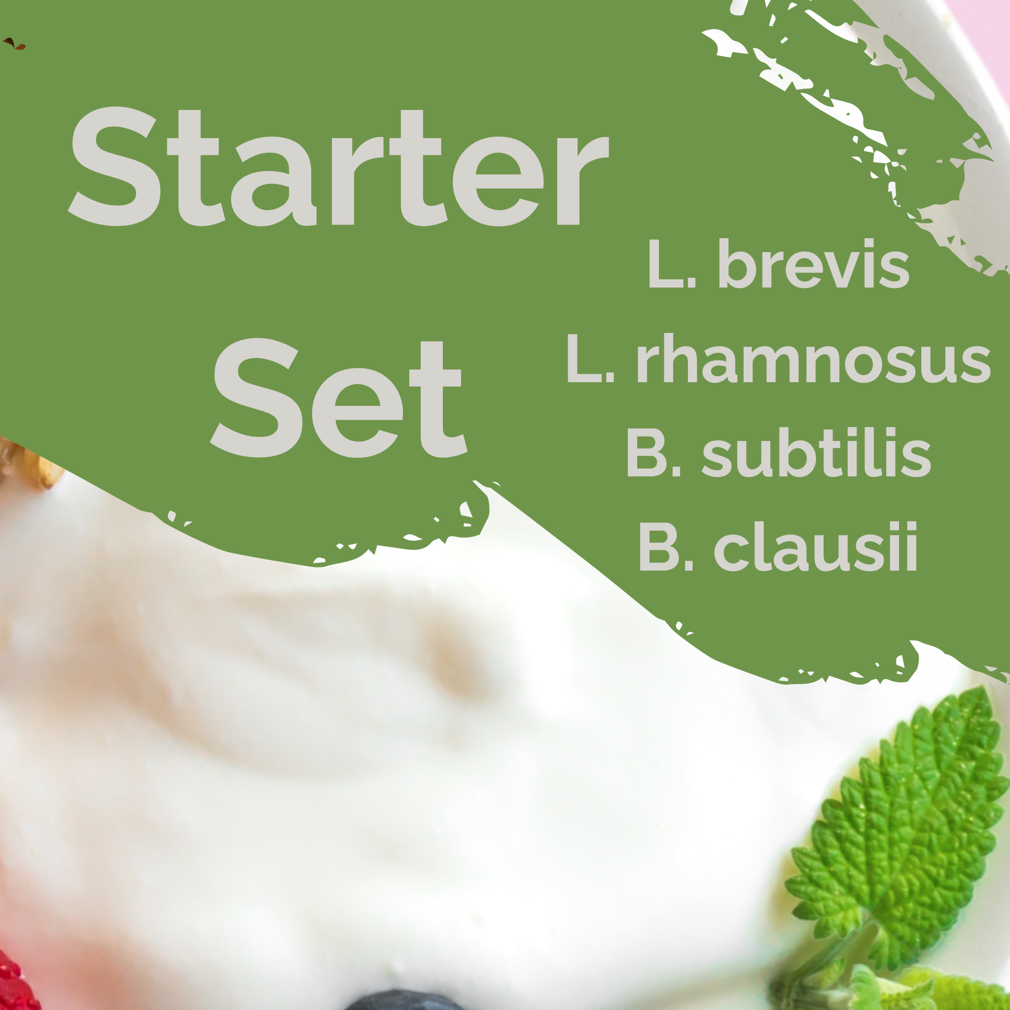 L. brevis + L. rhamnosus + B. subtilis + B. clausii | Yogurt Starter Set | GutProtect | Starter Cultures | Pack of 3