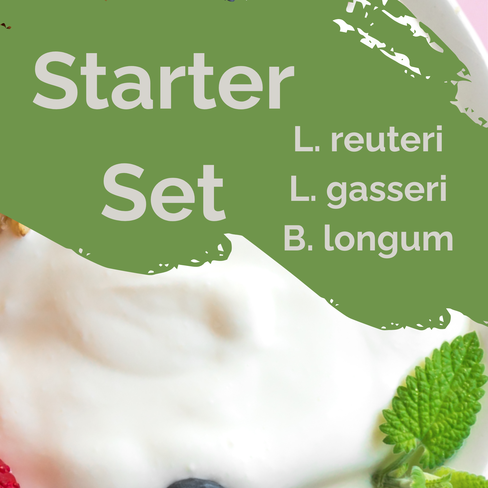 L. reuteri + L. gasseri + B. longum | Yogurt Starter Set | LightGut | Starter Cultures | Pack of 3
