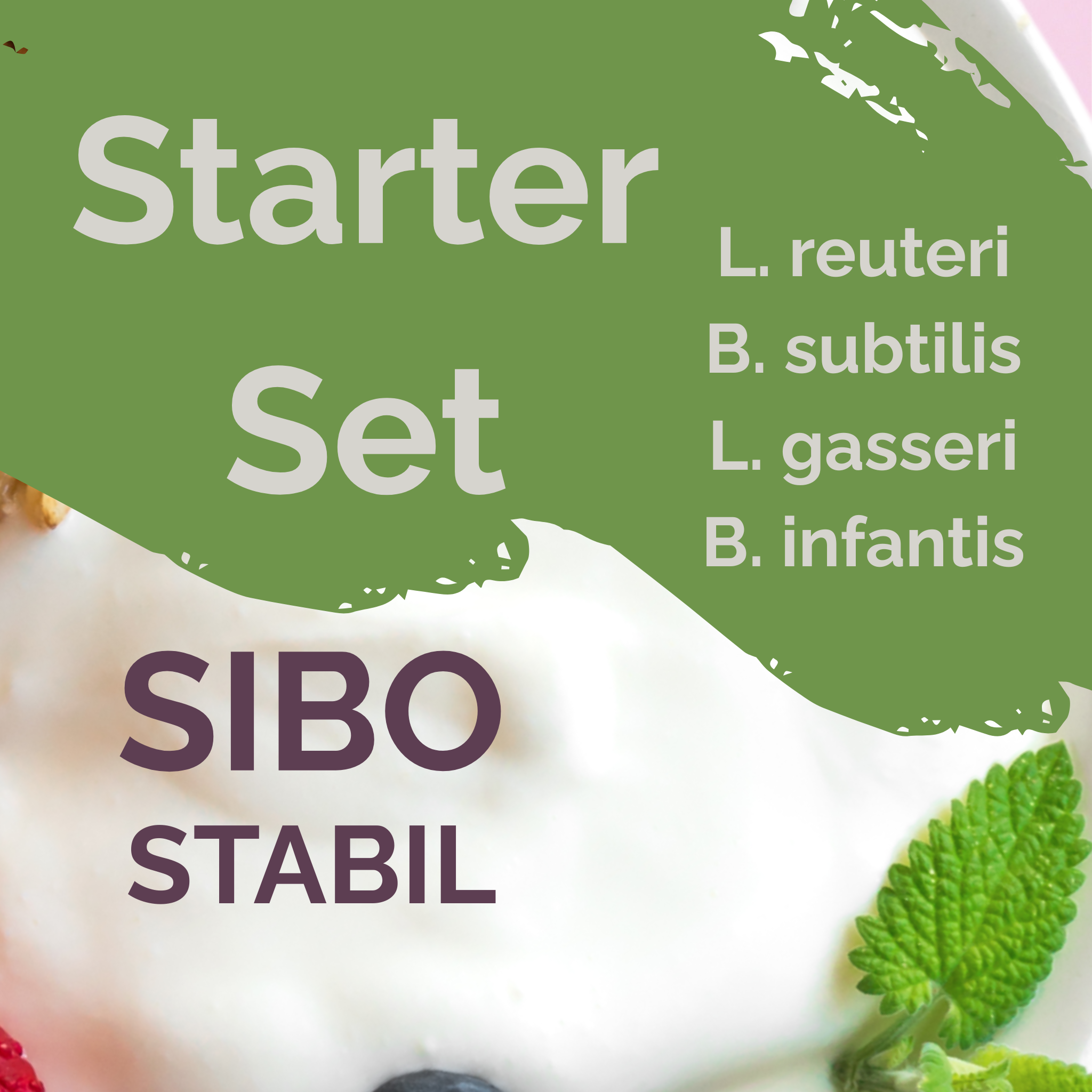 L. reuteri + L. gasseri + B. infantis + B. subtilis | Yogurt Starter Set | SIBOStable | Starter Cultures | Pack of 3